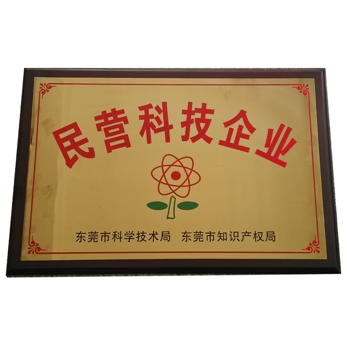 Private scientific and technological enterprise