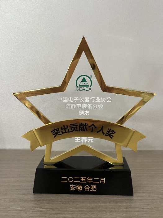 突出貢獻(xiàn)個人獎